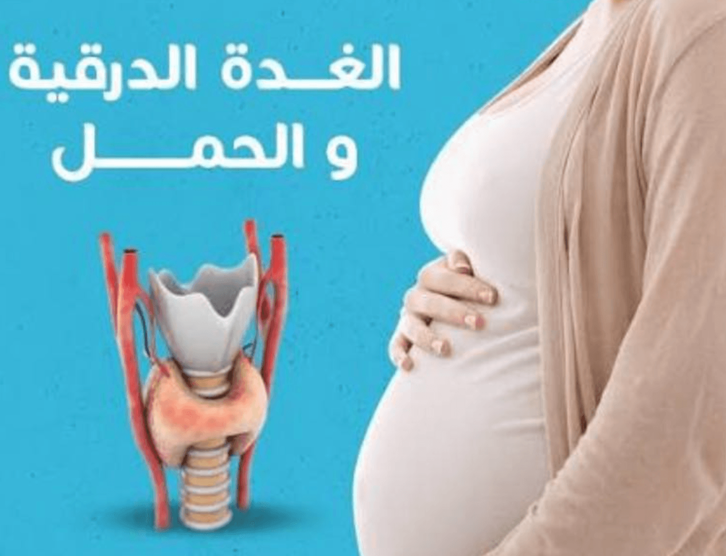 محتوى 2